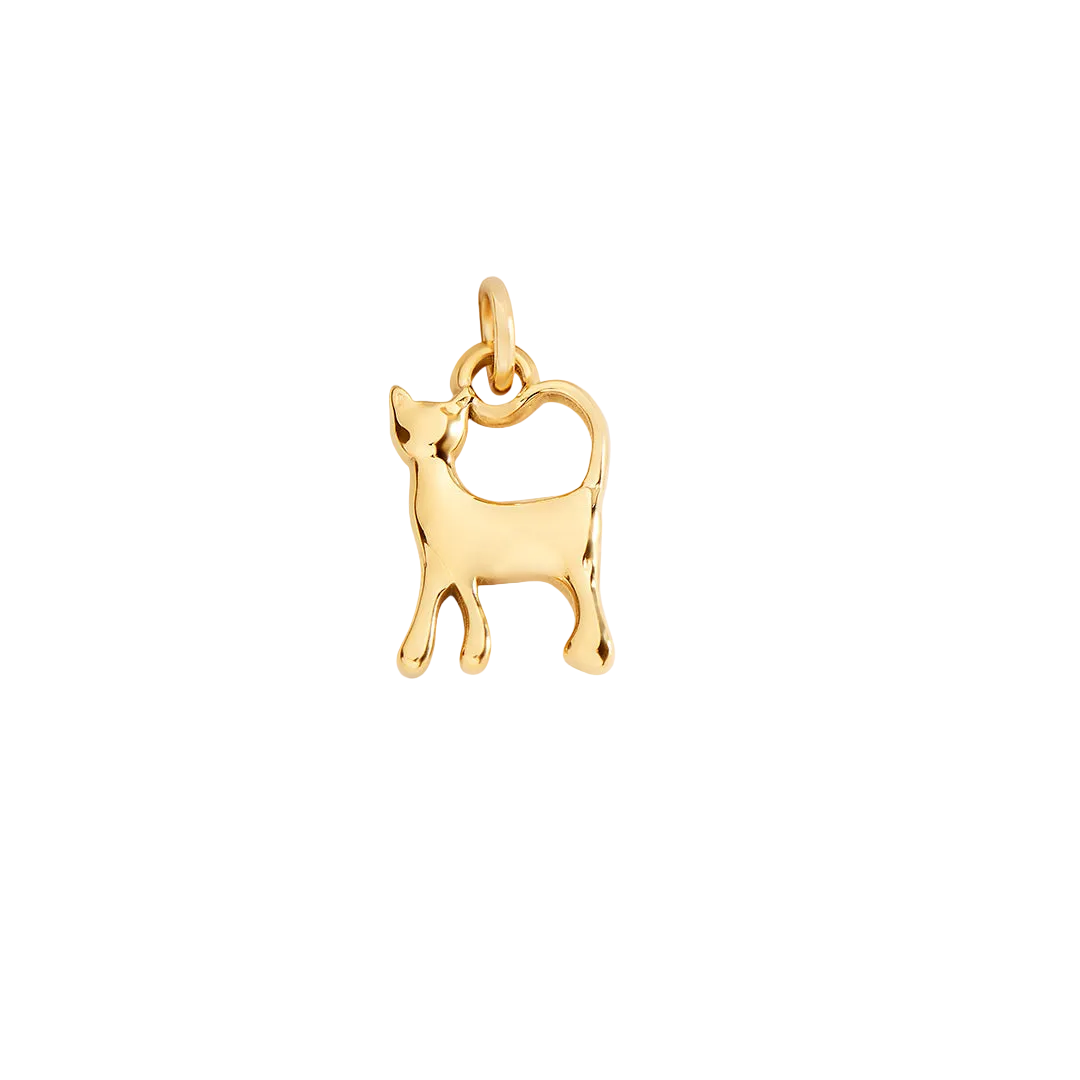 Cat Charm